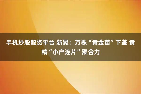 手机炒股配资平台 新晃：万株“黄金苗”下垄 黄精“小户连片”聚合力