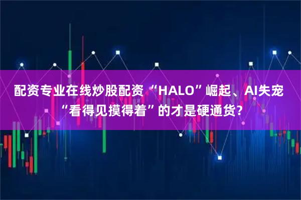 配资专业在线炒股配资 “HALO”崛起、AI失宠 “看得见摸得着”的才是硬通货？