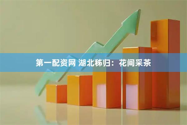 第一配资网 湖北秭归：花间采茶